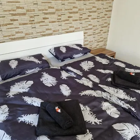 Bodensee Ganze Ferienwohnung In 4-zimmer Apartmán Friedrichshafen